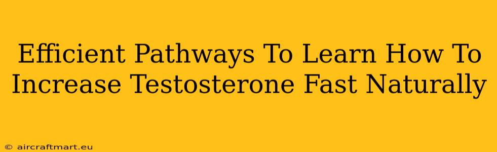 Efficient Pathways To Learn How To Increase Testosterone Fast Naturally