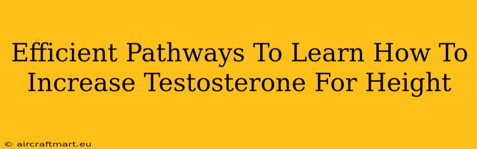 Efficient Pathways To Learn How To Increase Testosterone For Height