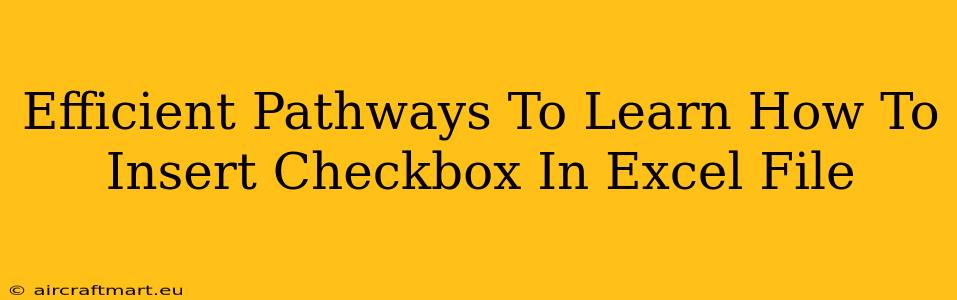 Efficient Pathways To Learn How To Insert Checkbox In Excel File