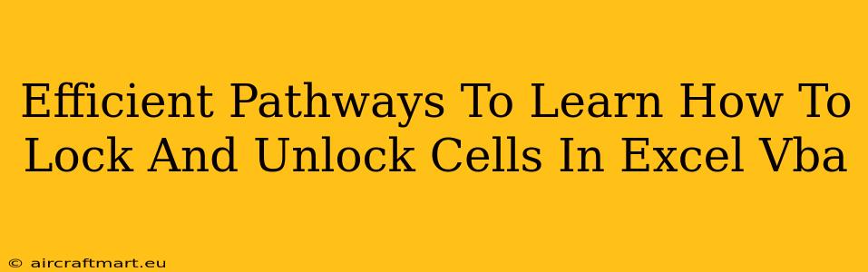 Efficient Pathways To Learn How To Lock And Unlock Cells In Excel Vba