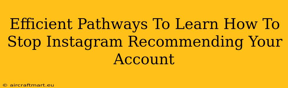 Efficient Pathways To Learn How To Stop Instagram Recommending Your Account