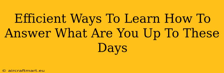 Efficient Ways To Learn How To Answer What Are You Up To These Days