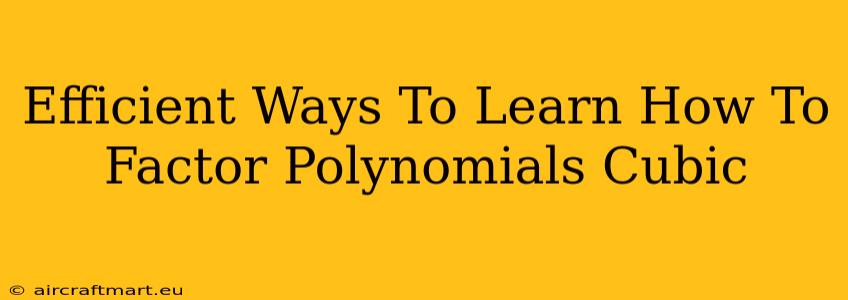 Efficient Ways To Learn How To Factor Polynomials Cubic