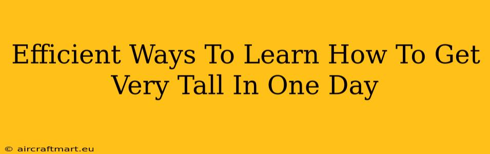 Efficient Ways To Learn How To Get Very Tall In One Day