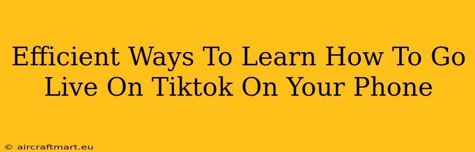 Efficient Ways To Learn How To Go Live On Tiktok On Your Phone