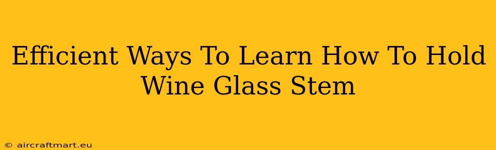 Efficient Ways To Learn How To Hold Wine Glass Stem