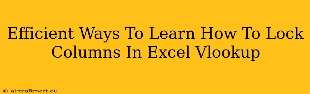 Efficient Ways To Learn How To Lock Columns In Excel Vlookup