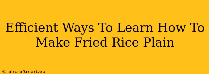 Efficient Ways To Learn How To Make Fried Rice Plain