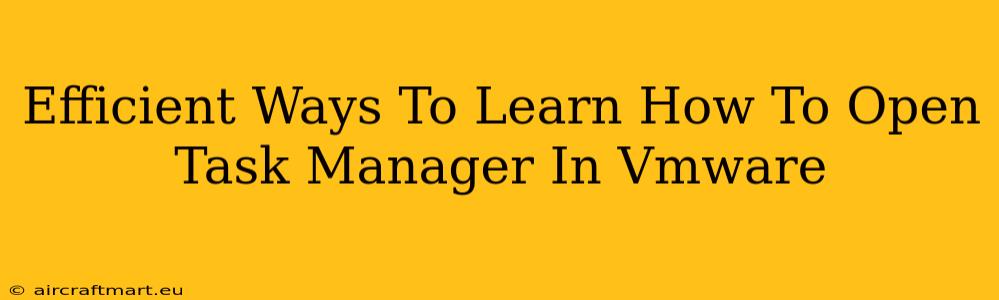 Efficient Ways To Learn How To Open Task Manager In Vmware