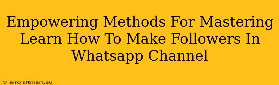 Empowering Methods For Mastering Learn How To Make Followers In Whatsapp Channel