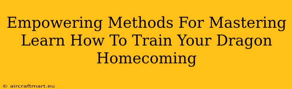 Empowering Methods For Mastering Learn How To Train Your Dragon Homecoming