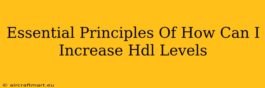 Essential Principles Of How Can I Increase Hdl Levels