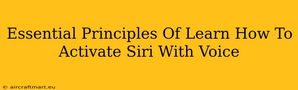 Essential Principles Of Learn How To Activate Siri With Voice