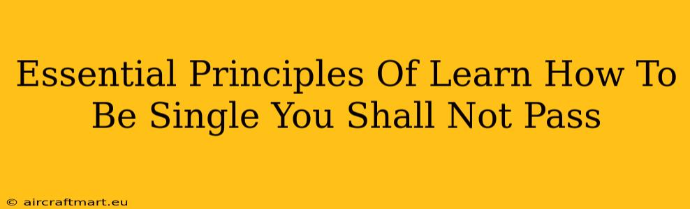 Essential Principles Of Learn How To Be Single You Shall Not Pass