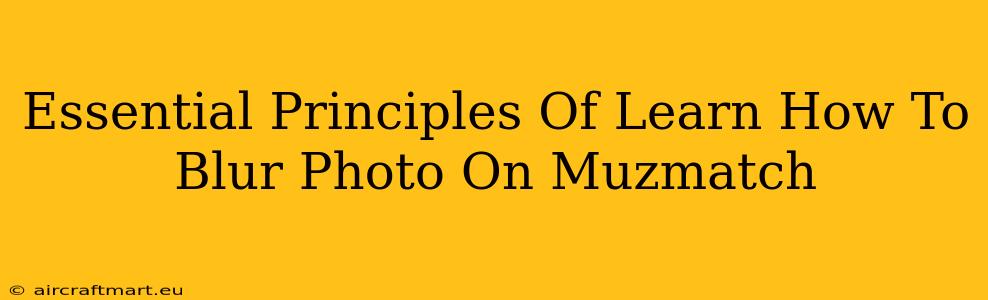 Essential Principles Of Learn How To Blur Photo On Muzmatch