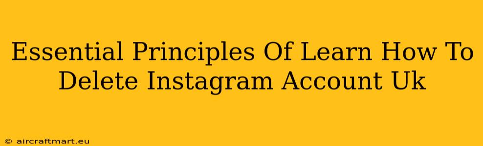 Essential Principles Of Learn How To Delete Instagram Account Uk