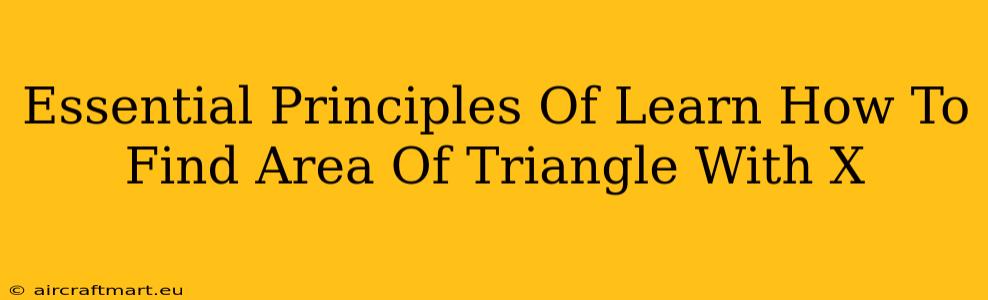 Essential Principles Of Learn How To Find Area Of Triangle With X