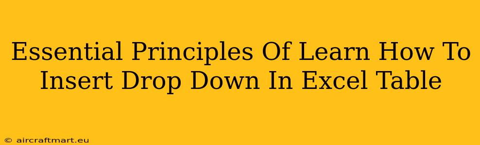 Essential Principles Of Learn How To Insert Drop Down In Excel Table