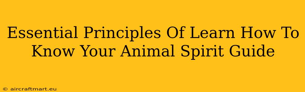 Essential Principles Of Learn How To Know Your Animal Spirit Guide