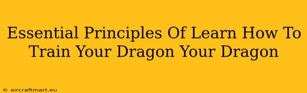 Essential Principles Of Learn How To Train Your Dragon Your Dragon