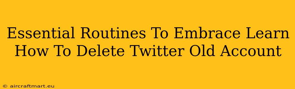 Essential Routines To Embrace Learn How To Delete Twitter Old Account