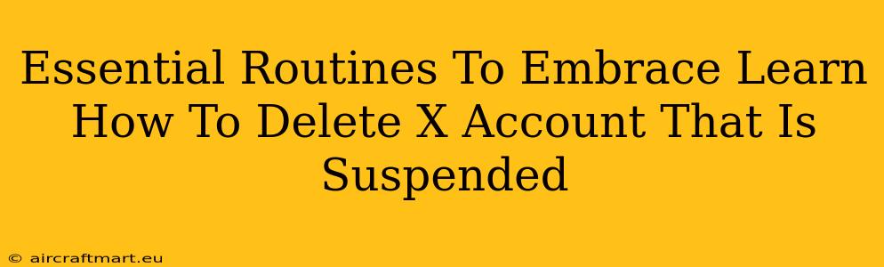 Essential Routines To Embrace Learn How To Delete X Account That Is Suspended