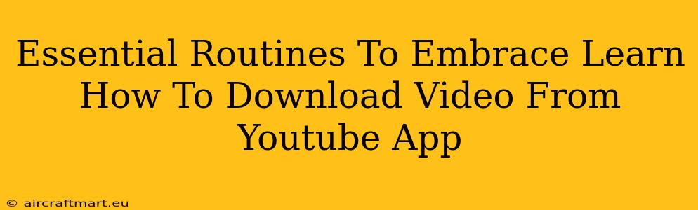 Essential Routines To Embrace Learn How To Download Video From Youtube App