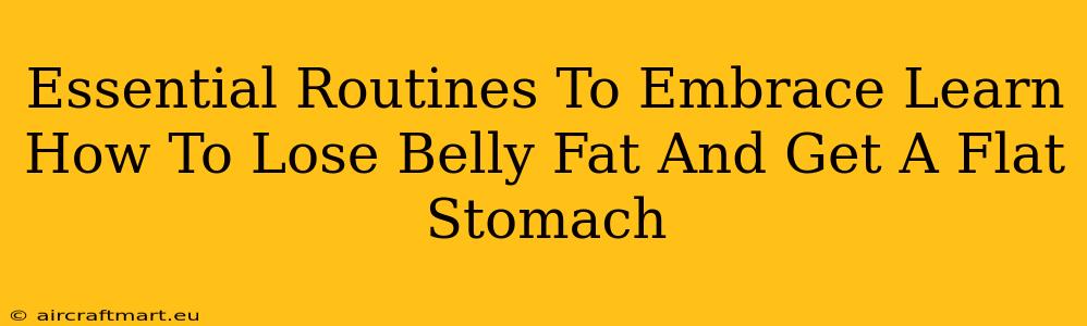 Essential Routines To Embrace Learn How To Lose Belly Fat And Get A Flat Stomach