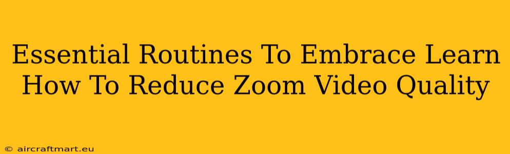 Essential Routines To Embrace Learn How To Reduce Zoom Video Quality