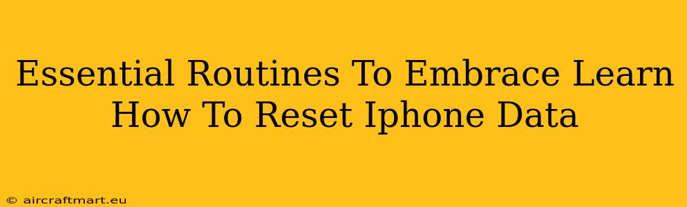 Essential Routines To Embrace Learn How To Reset Iphone Data