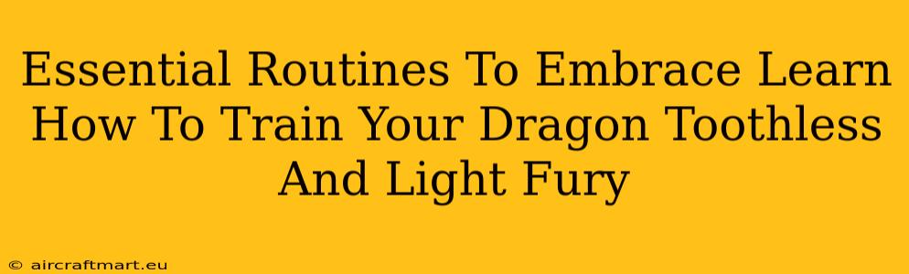 Essential Routines To Embrace Learn How To Train Your Dragon Toothless And Light Fury