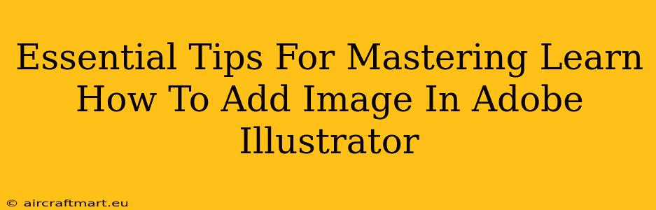 Essential Tips For Mastering Learn How To Add Image In Adobe Illustrator