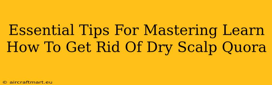 Essential Tips For Mastering Learn How To Get Rid Of Dry Scalp Quora