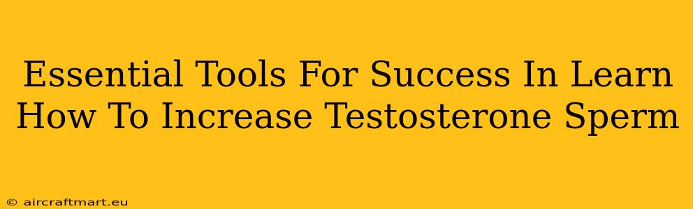 Essential Tools For Success In Learn How To Increase Testosterone Sperm