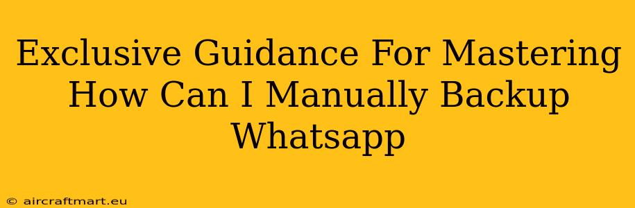 Exclusive Guidance For Mastering How Can I Manually Backup Whatsapp