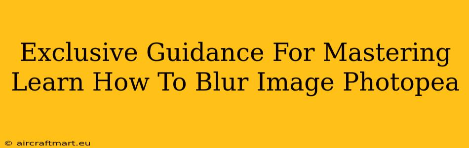 Exclusive Guidance For Mastering Learn How To Blur Image Photopea