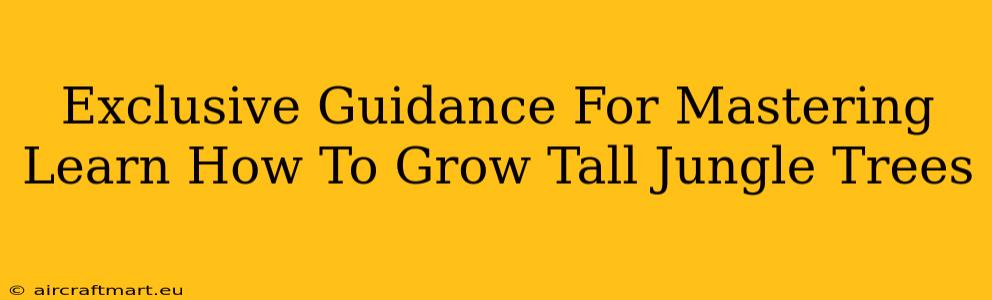 Exclusive Guidance For Mastering Learn How To Grow Tall Jungle Trees