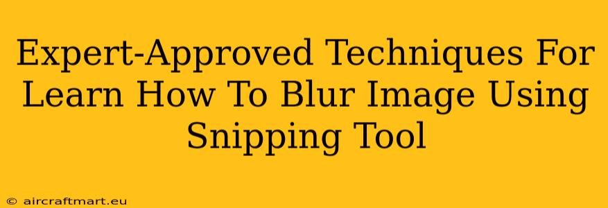 Expert-Approved Techniques For Learn How To Blur Image Using Snipping Tool