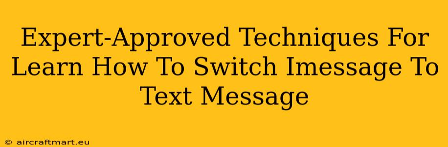 Expert-Approved Techniques For Learn How To Switch Imessage To Text Message