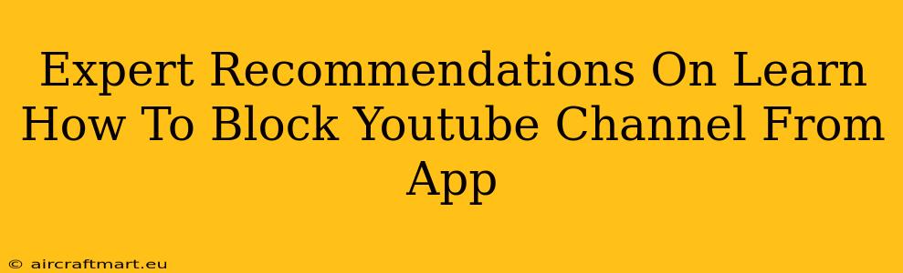 Expert Recommendations On Learn How To Block Youtube Channel From App