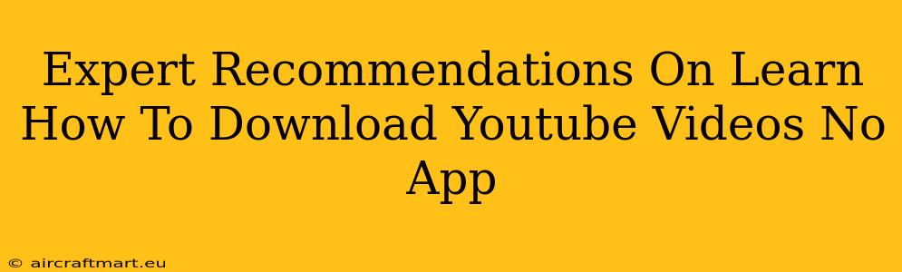 Expert Recommendations On Learn How To Download Youtube Videos No App