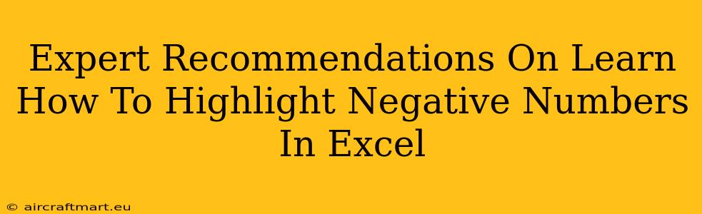 Expert Recommendations On Learn How To Highlight Negative Numbers In Excel