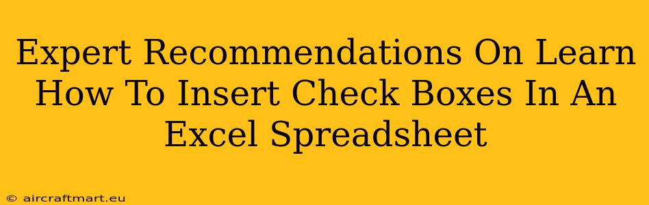 Expert Recommendations On Learn How To Insert Check Boxes In An Excel Spreadsheet