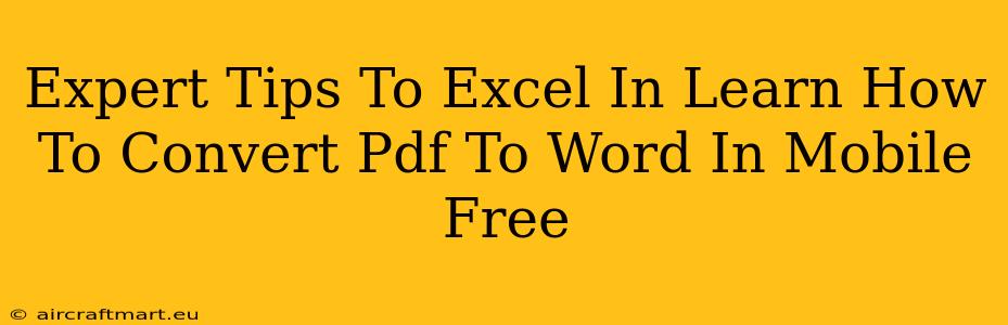 Expert Tips To Excel In Learn How To Convert Pdf To Word In Mobile Free