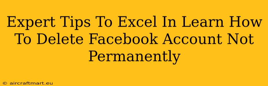 Expert Tips To Excel In Learn How To Delete Facebook Account Not Permanently