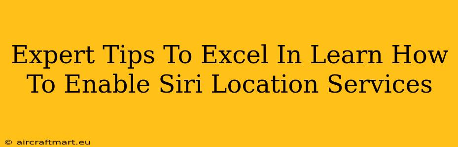 Expert Tips To Excel In Learn How To Enable Siri Location Services