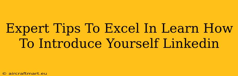 Expert Tips To Excel In Learn How To Introduce Yourself Linkedin