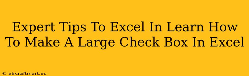 Expert Tips To Excel In Learn How To Make A Large Check Box In Excel