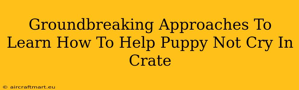 Groundbreaking Approaches To Learn How To Help Puppy Not Cry In Crate