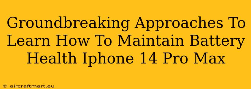 Groundbreaking Approaches To Learn How To Maintain Battery Health Iphone 14 Pro Max